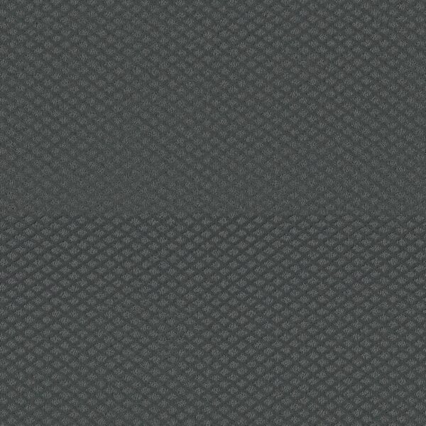 Shaw Floors Carpet Midland Charm Night Flight 00450_5E818