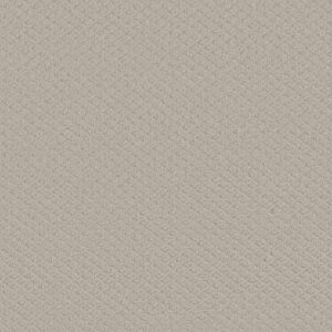 Shaw Floors Carpet Midland Charm Rock Crystal 00574_5E818