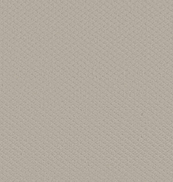 Shaw Floors Carpet Midland Charm Rock Crystal 00574_5E818
