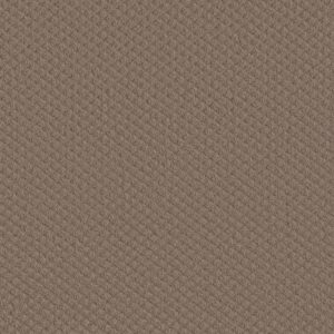 Shaw Floors Carpet Midland Charm Pure Earth 00750_5E818
