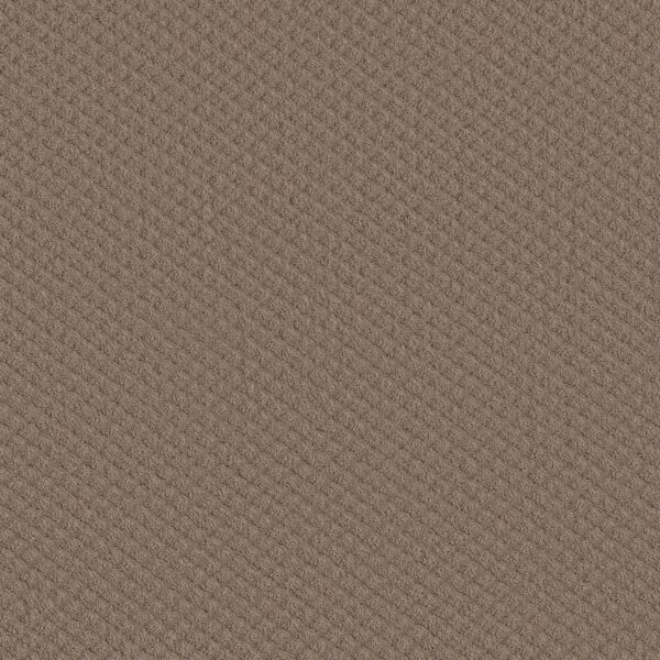 Shaw Floors Carpet Midland Charm Pure Earth 00750_5E818