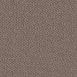 Shaw Floors Carpet Midland Charm Open Canyon 00751_5E818
