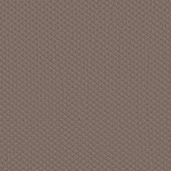 Shaw Floors Carpet Midland Charm Open Canyon 00751_5E818
