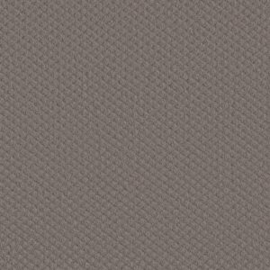 Shaw Floors Carpet Midland Charm Rustic Vibe 00752_5E818