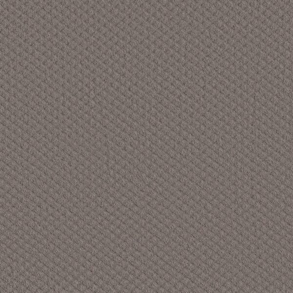 Shaw Floors Carpet Midland Charm Rustic Vibe 00752_5E818