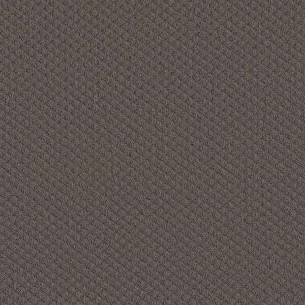 Shaw Floors Carpet Midland Charm Midtown 00753_5E818