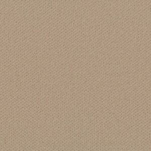 Shaw Floors Carpet Austin Park Soft Honey 00102_5E819