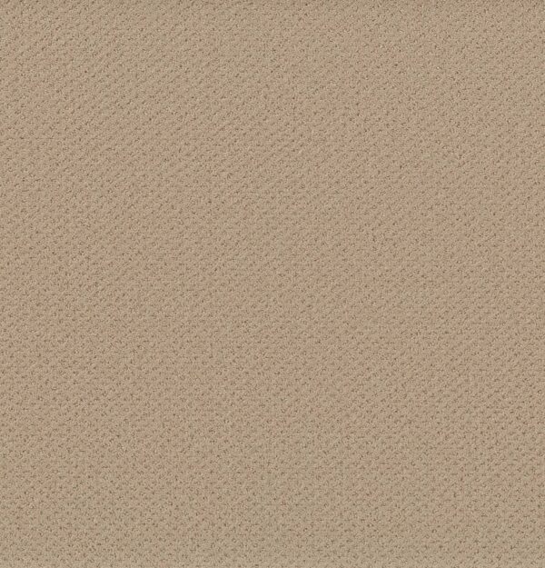 Shaw Floors Carpet Austin Park Soft Honey 00102_5E819