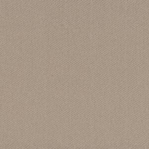 Shaw Floors Carpet Austin Park Boutique 00104_5E819