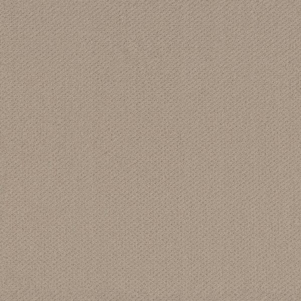 Shaw Floors Carpet Austin Park Boutique 00104_5E819