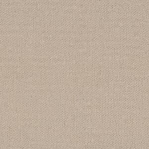 Shaw Floors Carpet Austin Park Better Beige 00150_5E819