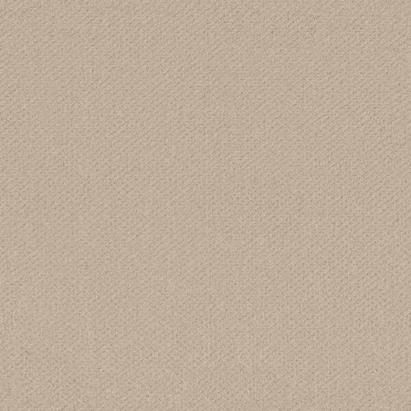 Shaw Floors Carpet Austin Park Better Beige 00150_5E819