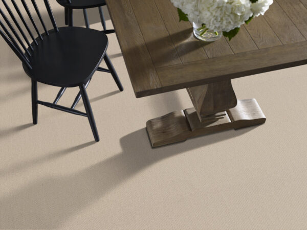 Shaw Floors Carpet Austin Park Better Beige 00150_5E819 - Image 2