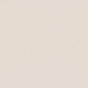 Shaw Floors Carpet Austin Park Crisp Linen 00171_5E819