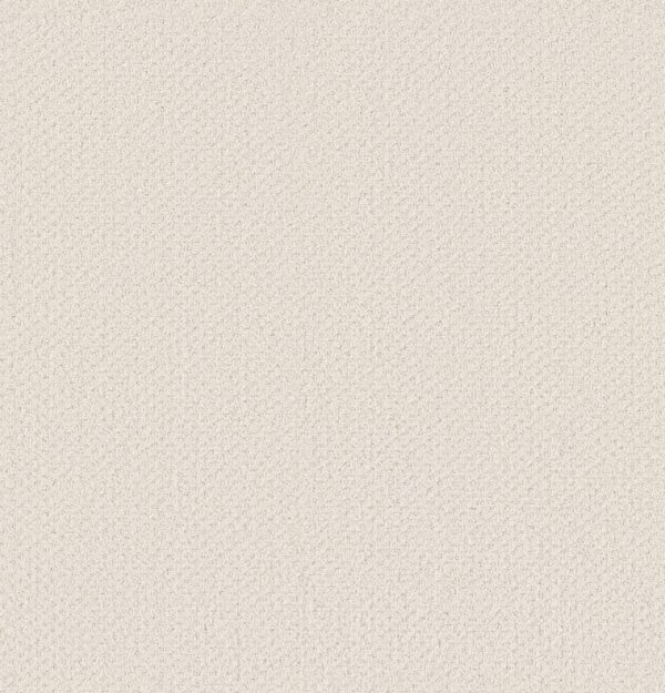 Shaw Floors Carpet Austin Park Crisp Linen 00171_5E819