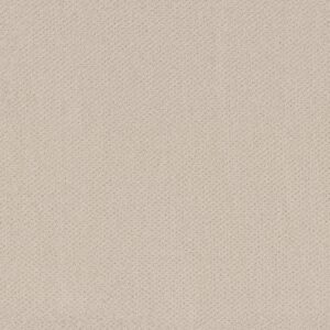 Shaw Floors Carpet Austin Park Alabaster 00172_5E819
