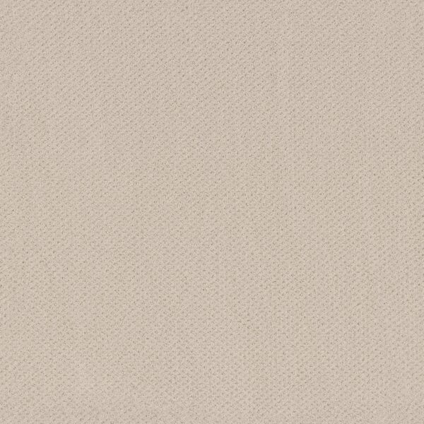 Shaw Floors Carpet Austin Park Alabaster 00172_5E819