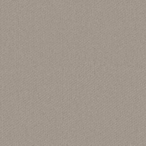 Shaw Floors Carpet Austin Park Studio Taupe 00173_5E819