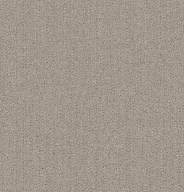 Shaw Floors Carpet Austin Park Studio Taupe 00173_5E819
