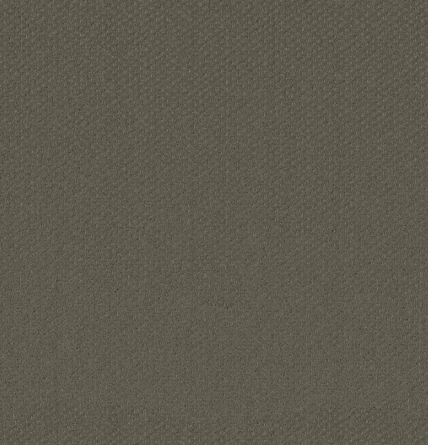 Shaw Floors Carpet Austin Park Cedar Glen 00350_5E819