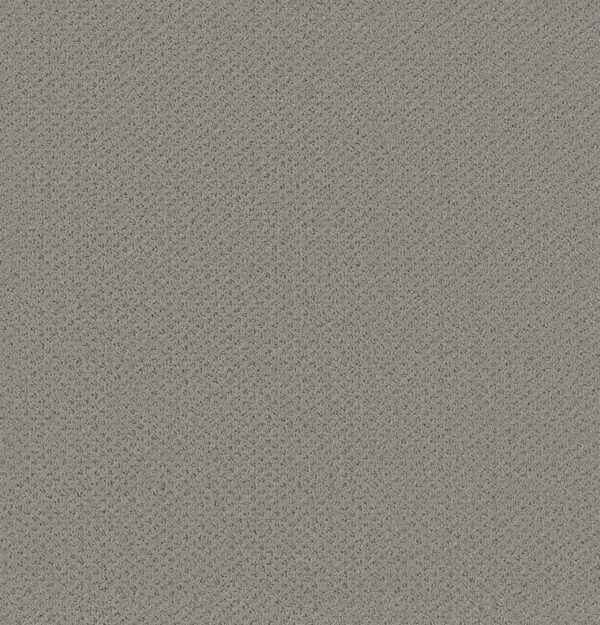 Shaw Floors Carpet Austin Park Sea Salt 00512_5E819