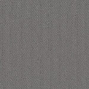 Shaw Floors Carpet Austin Park Magnetic 00551_5E819
