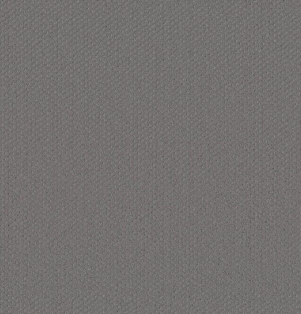 Shaw Floors Carpet Austin Park Magnetic 00551_5E819