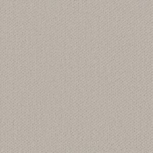 Shaw Floors Carpet Austin Park Rock Crystal 00574_5E819