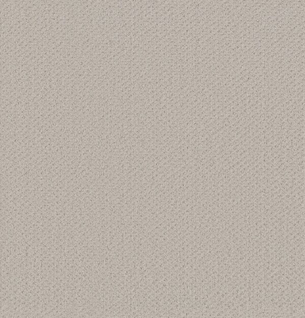 Shaw Floors Carpet Austin Park Rock Crystal 00574_5E819
