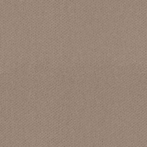 Shaw Floors Carpet Austin Park Pure Earth 00750_5E819