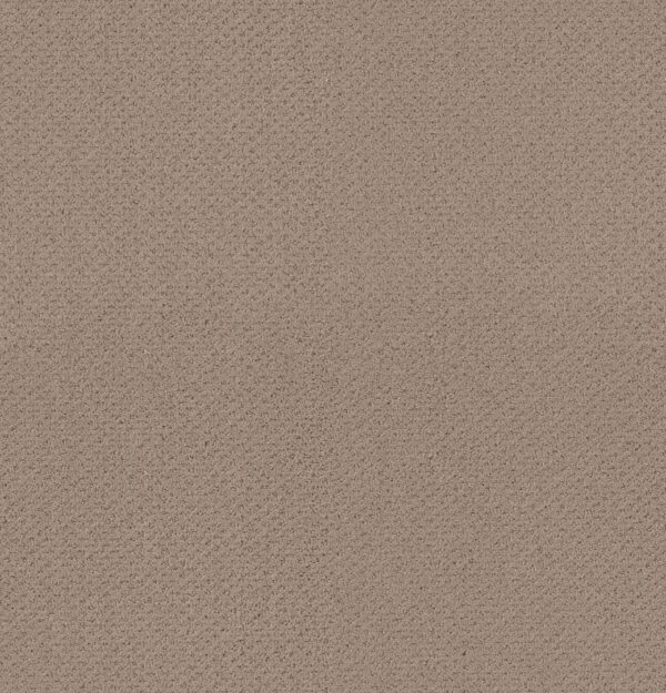 Shaw Floors Carpet Austin Park Pure Earth 00750_5E819
