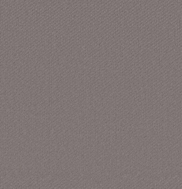 Shaw Floors Carpet Austin Park Rustic Vibe 00752_5E819