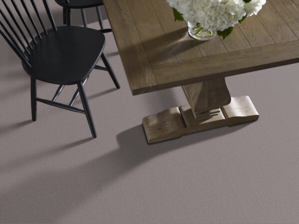 Shaw Floors Carpet Austin Park Rustic Vibe 00752_5E819 - Image 2