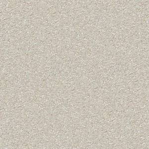 Shaw Floors Carpet Las Cruces Plaster 00103_5E820