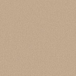 Shaw Floors Carpet Las Cruces Cream Puff 00111_5E820