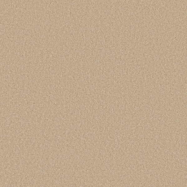 Shaw Floors Carpet Las Cruces Cream Puff 00111_5E820