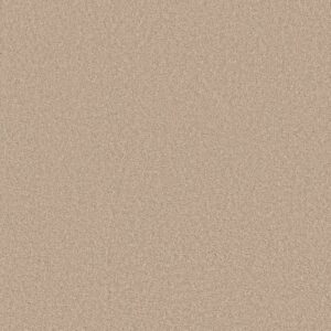 Shaw Floors Carpet Las Cruces All Natural 00112_5E820