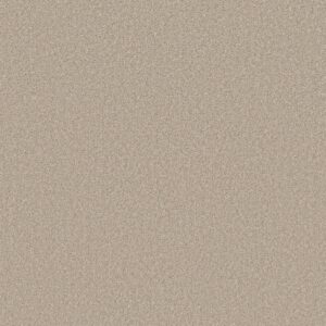 Shaw Floors Carpet Las Cruces Marble 00113_5E820