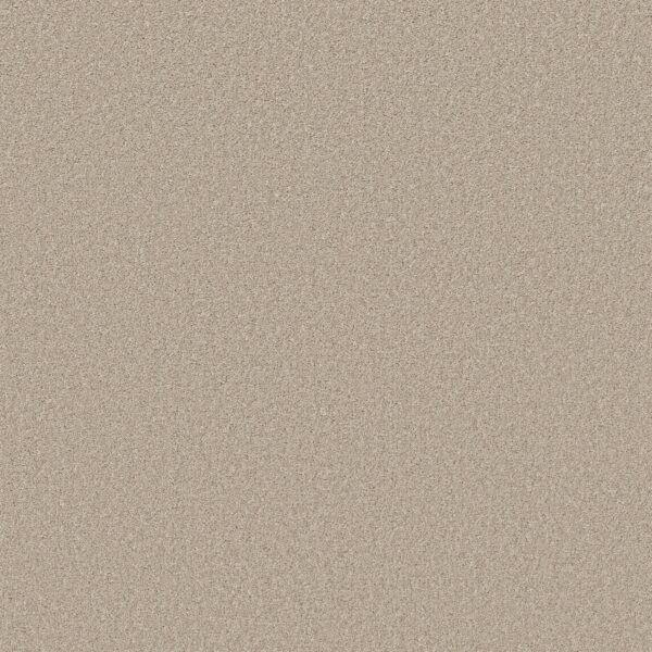 Shaw Floors Carpet Las Cruces Marble 00113_5E820