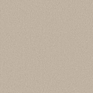 Shaw Floors Carpet Las Cruces Fresh Perspective 00117_5E820
