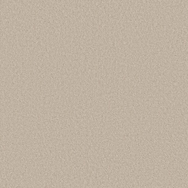 Shaw Floors Carpet Las Cruces Fresh Perspective 00117_5E820
