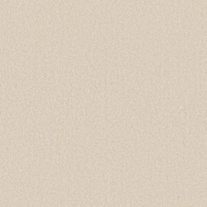 Shaw Floors Carpet Las Cruces Polar Bear 00150_5E820