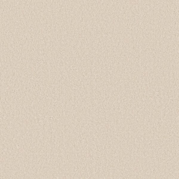 Shaw Floors Carpet Las Cruces Polar Bear 00150_5E820