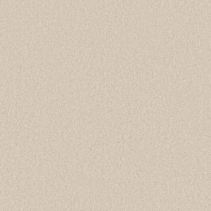 Shaw Floors Carpet Las Cruces Breeze 00151_5E820