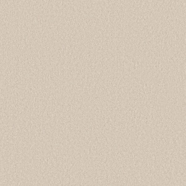 Shaw Floors Carpet Las Cruces Breeze 00151_5E820