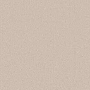 Shaw Floors Carpet Las Cruces Zurich 00152_5E820