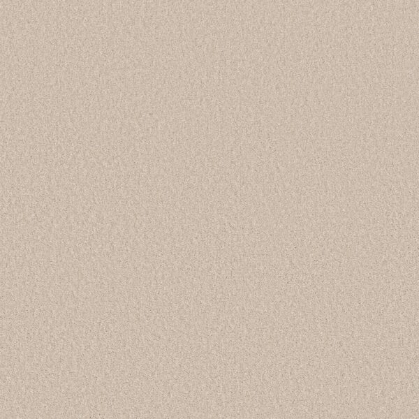 Shaw Floors Carpet Las Cruces Zurich 00152_5E820