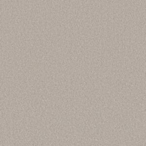 Shaw Floors Carpet Las Cruces Reflective 00153_5E820