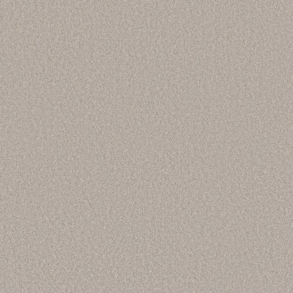 Shaw Floors Carpet Las Cruces Reflective 00153_5E820