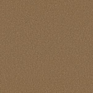 Shaw Floors Carpet Las Cruces Radiance 00250_5E820